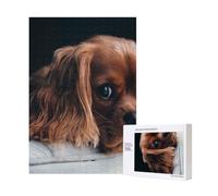 300pcsRuby Cavalier King Charles Spaniel Puppy Dog Puzzles With Packaging Box for Adults-Wooden Jigsaw Puzzle