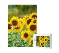 300pcsSunflower Plant Printed Puzzles With Packaging Box for Adults-Wooden Jigsaw Puzzle