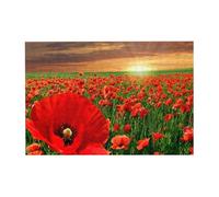 300pcsSunset Poppy Field Puzzles With Packaging Box for Adults-Wooden Jigsaw Puzzle