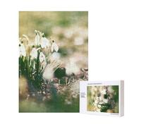 300pcsWild Spring Snowdrop Puzzles With Packaging Box for Adults-Wooden Jigsaw Puzzle