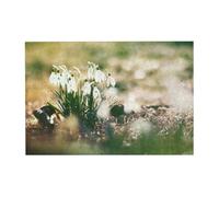300pcsWild Spring Snowdrop Puzzles With Packaging Box for Adults-Wooden Jigsaw Puzzle