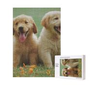 300pcsYellow Labrador Retriever Puppies Puzzles With Packaging Box for Adults-Wooden Jigsaw Puzzle