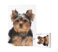 300pcsYorkshire Terrier Lies On White Puzzles With Packaging Box for Adults-Wooden Jigsaw Puzzle