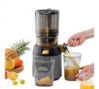 300W Cold Press Masticating Juicer, Professional Slow Juicer with 13cm Feeding Chute, Portable Fruit and Vegetable Juicer, Efficient Pomace Separation for Healthy Juicing