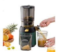 300W Professional Slow Juicer, Juicer Machines, Cold Press Masticating Juicer with 13cm Feeding Chute, Portable Pomace Separation Juicer Fruit juicer, for Fruits Vegetables green