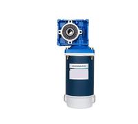300W Worm Gear Reduction Motor 12V24v Adjustable Speed Large Torque Forward and Reverse RV30 high Power(5D300GN RV30 24V 21 rpm)