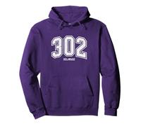 302 Delaware Arched Athletic Design With Details Pullover Hoodie