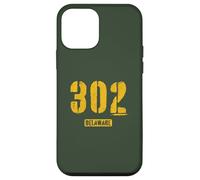 302 Delaware Rough Stencil Design With Details Case for iPhone 12 mini