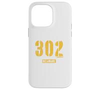 302 Delaware Rough Stencil Design With Details Case for iPhone 14 Pro Max