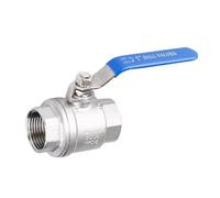 304 316 Stainless Steel BSPT 1/4" 3/8" 1/2" 3/4" 1" 1-1/2" 2' Female 2P Full Port Ball Valve with Vinyl Handle Thread Valves(DN40,304SS Material)