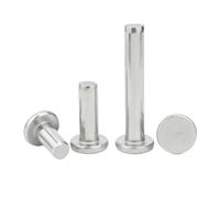 304 SS Solid Knock-On Rivet, Flat Round Head Rivet M1.5-M8 | Self plugging rivet nail, easy hammer installation for metal sheet fastening(50Pcs M2.5,6mm)