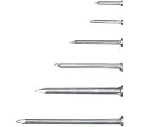 304 Stainless and Galvanized Steel Nails Kit