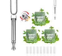 304 Stainless Steel Breathing Necklace to Replace Bad Habit with 9pcs Mint Cores, Adjustable Air Flow Necklace for Stress Relief with Leak-Proof Design, Habit Support Necklace for Adults (Silver)