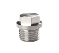304 Stainless Steel BSP Metric Male Thread Hex End Cap, Flange Outer Hexagon Solid Plug Pipe Fitting 1pc(M30x2)