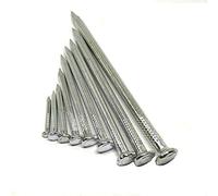 304 Stainless Steel Cement Nails Kit