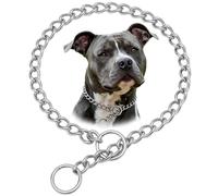 304 Stainless Steel Dog Chain Collar, Heavy Duty Silver Dog Necklace, for Training, Chew Proof Martingale Dog Chains for XS Small Medium Large Big Dogs