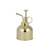 304 Stainless Steel Flower Watering Can Retro Golden Small Mini Manual Succulent Atomizer Sprayer Kids Cans (A, 15x8.9x8.4cm)
