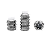 304 Stainless Steel Hex Socket Plastic Nylon Dog Convex Point Tip Grub Headless Bolt Set Screw M2 M2.5 M3 M4 M5 M6 M8 M10 M12M16(70mm,2pcs M10)