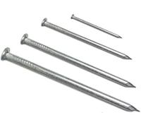 304 Stainless Steel Nails Kit