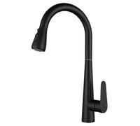 304 Stainless Steel Pull-Out Rotating Faucet, Black Water Stop