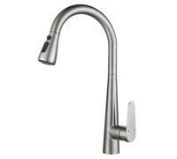304 Stainless Steel Pull-Out Rotating Faucet, Brushed Water Stop