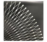 304 Stainless Steel Rope Mesh，Anti-Theft Anti-Fall Stainless Steel Safety Netting，Safety Netting Animal Barrier Fence Poultry Netting，Football Field Garden Farm Decor Fence(L0.6xW2m/L1.96xW6.56ft)