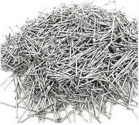 304 Stainless Steel Round Nails 100g, Assorted Panel Pins For Wood, Woodworking Hardware Nail(7in)