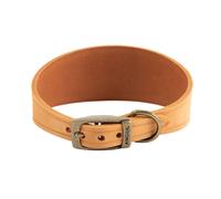 (30cm - 34cm, Mustard) Ancol Timberwolf Hound Leather Dog Collar