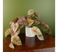 Leaf 30Cm Artificial Pink Caladium Potted Trailing Plant Realistic