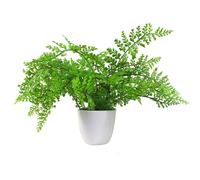 Leaf Artificial Fern Plant 30Cm Forest Fern 30Cm In Plant Pot