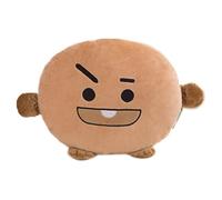 30cm Kpop Bts Bangtan Bt21 Pillow Doll Cushion Plush Toy