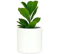 30cm Large Plant Pot by Fox & Fern - Perfectly Fits Plant Stand - Drainage Plug - Indoor and Outdoor - Matte White