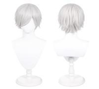 30cm Universal Anime Costume Cosplay Wig for Party, Daily-Use, Halloween, Great for TV, Film, Anime Game Character Cosplay (Silver White)