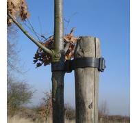 (30cm x 1.25cm, 5) Heavy Duty Buckle/Rose & Shrub Tree Ties Very Strong Plant Support Various Sizes