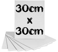 30cm x 30cm Canvas Board - Square Artist Painting Panel - Premium Triple Primed Cotton Blank Canvas Boards for Acrylic & Oil Paint - Acid-Free Art Canvases for Painting