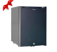 30L DC/AC 2 Way Small Fridge Absorption RV Caravan Refrigerator Truck Cooler