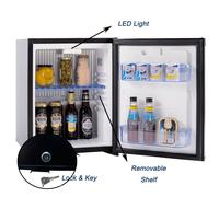 30L DC/AC 2 Way Small Fridge Absorption RV Caravan Refrigerator Truck Cooler