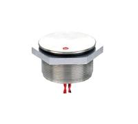 30mm IP68 Momentary RGB Dot LED Illuminated Aluminum Normally Open Flat Head 300mm Cables Piezo Push Button Switch IDGTTLDF(12V RGB Com Negative)