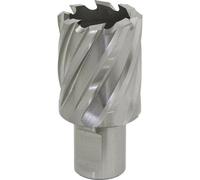 30mm X 25mm Depth Rotabor Cutter - M2 Steel Annular Metal Core Drill 19mm Shank