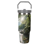 30OZ Stainless Steel Tumbler with Handle & Straw Lid - Vacuum Insulated for 12H Hot/Cold Tapered Design Fits Car Cup Holders Strange Rocks in The Creekprinting Insulated CupCamping & Gym Commute Essen