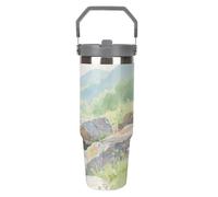 30OZ Stainless Steel Tumbler with Handle & Straw Lid - Vacuum Insulated for 12H Hot/Cold Tapered Design Fits Car Cup Holders Strange Rocks in The Creekprinting Insulated CupCamping & Gym Commute Essen