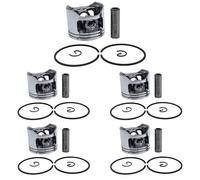 30pcs 45mm Piston Rings Kit for 4500 5800 5200 Chinese Chainsaws 45cc 52cc 58cc Engine Motor Gas Chainsaw
