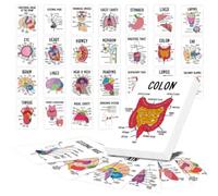 30pcs Anatomy and Physiology Flashcards, Human Anatomy Flash Cards | Pocket Size Medical Terminology Diagram Cards Set, Comprehensive Anatomy Study Aid for Medical, Nursing Student Essentials
