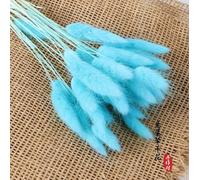 30pcs Bunny Tail Dried Flowers, 40-45 cm Bunny Tails Dried Grass Rabbits Tail Grass Flower for Home Garden Arrangement Wddding Decoration (Sky Blue)