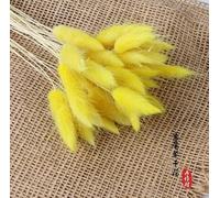 30pcs Bunny Tail Dried Flowers, 40-45 cm Bunny Tails Dried Grass Rabbits Tail Grass Flower for Home Garden Arrangement Wddding Decoration (Yellow)