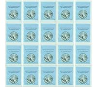 30Pcs Disposable Temporary Tattoo Removal Wipes Individually Wrapped; Makeup Cleansing Wipes; Gentle and Effective Beauty Remover Wipe for Temporary Tattoo