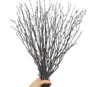30Pcs Dried Birch Twigs Curly Willow Branches - 17” Natural Decorative Birch Branches for Easter Vases, Willow Branches for DIY, Floral Arrangement, Twig Wreath, Centerpiece, Rustic Home Decor
