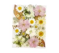 30pcs Dried Pressed Flowers for Resin, Real Pressed Flowers Dry Leaves Bulk Natural Herbs Kit for Scrapbooking DIY Art Crafts, Epoxy Resin Jewelry Molds, Candle, Soap Making, Nails Décor