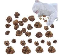30PCS Dried Silvervine Gall Fruit with Perforated,Natural Silver Vine Cat Chew Toy,Catnip Toys for Indoor Cats,Interactive Gall Fruit Cat Chew Toy,Open Hole G-all Fru-it C-at Toy for Dental Cleaning
