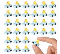 30pcs Duck in a Jeep Miniature, Resin Mini Small Ducks Little Car Dashboard Decor Tiny Jeep Ducks Micro Garden Decor for Home Garden Car Office Decor(Blue)